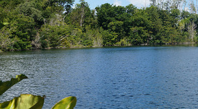 Cenote de Azul8