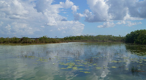 Bacalar1