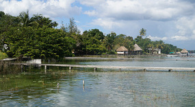 Bacalar2