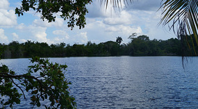 Cenote de Azul1
