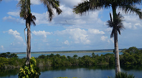 Cenote de Azul11