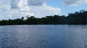 Cenote de Azul2