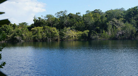 Cenote de Azul6