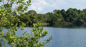 Cenote de Azul8