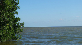 Chetumal5