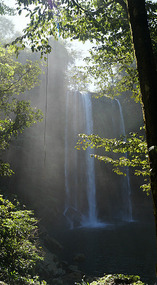 Cascada de Misol-Ha4