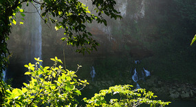 Cascada de Misol-Ha6