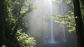 Video Cascada de Misol-Ha