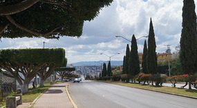 Comitan1