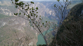 Cañón del Sumidero14