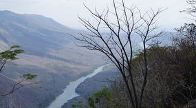 Cañón del Sumidero5