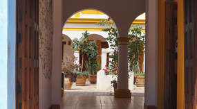 San Cristóbal de las Casas16