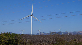 Windpark1