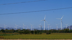 Windpark3