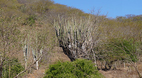 Puerto Escondido3