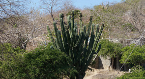 Puerto Escondido5