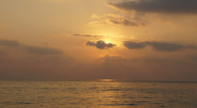 sonne4