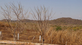 on the way5