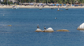Acapulco7