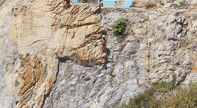 Klippenspringer7
