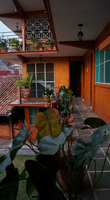 Tapachula3