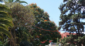 Guatemala13