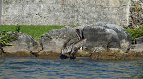 Fort3