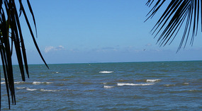 Livingston10