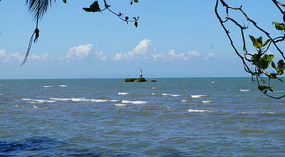 Livingston11