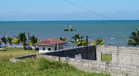 Livingston12