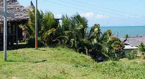 Livingston13