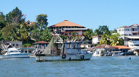 Livingston14