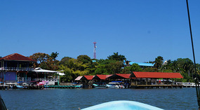 Livingston2