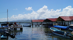 Livingston3