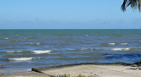 Livingston9