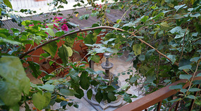 Mayaland Hotel3