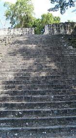 Tikal21