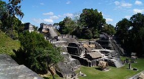 Tikal24