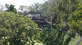 Tikal26