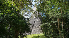 Tikal3