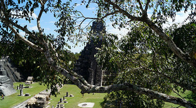 Tikal30