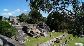 Tikal31