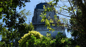 Tikal35