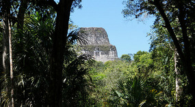 Tikal36