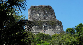 Tikal37