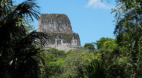 Tikal39