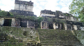 Tikal5