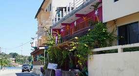 Isla Flores9