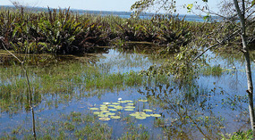 Lago Peten Itza31