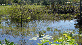 Lago Peten Itza32